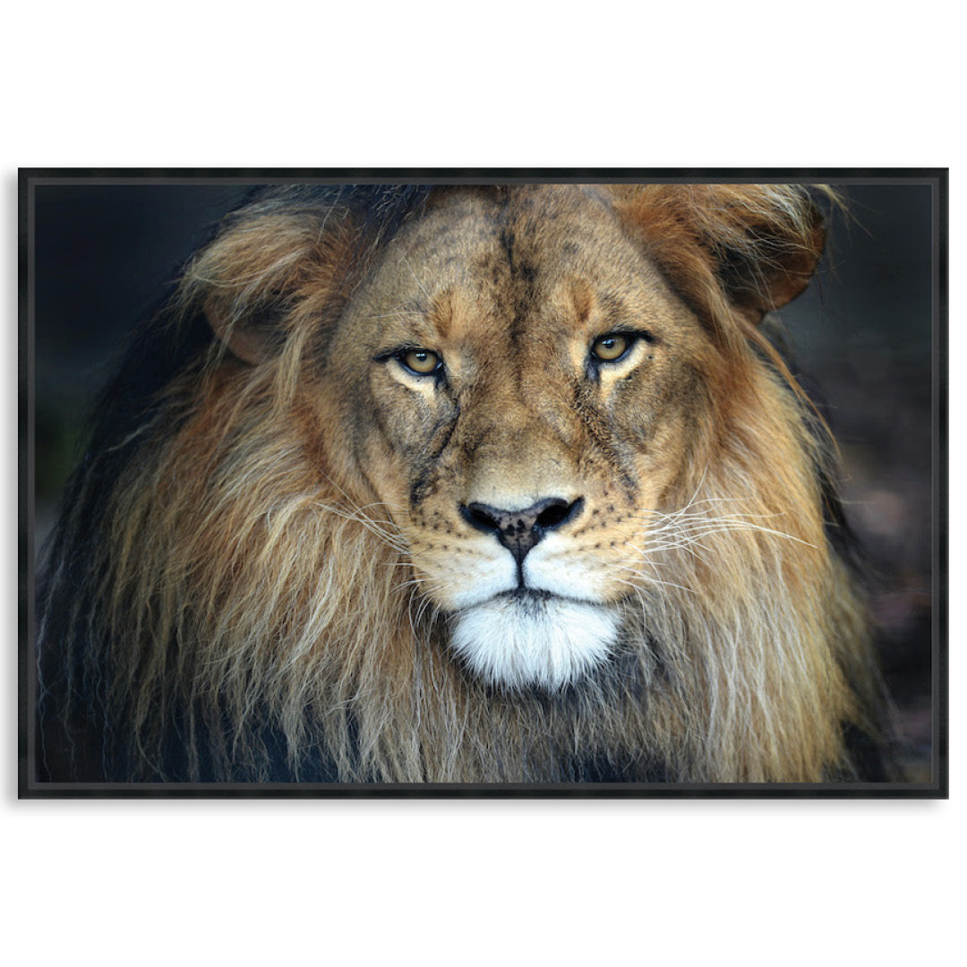 CECIL - Framed Canvas