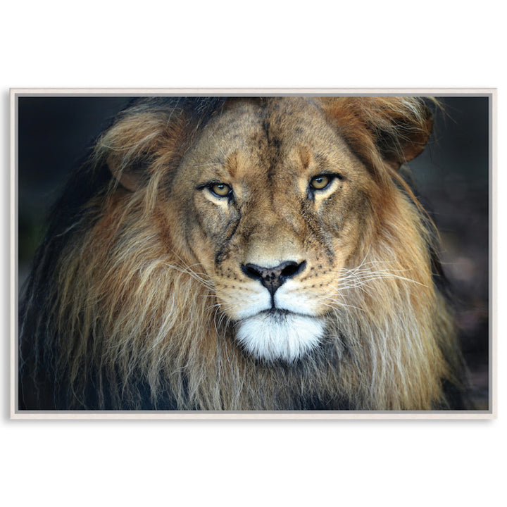 CECIL - Framed Canvas