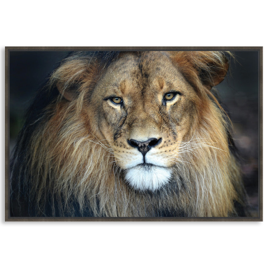 CECIL - Framed Canvas
