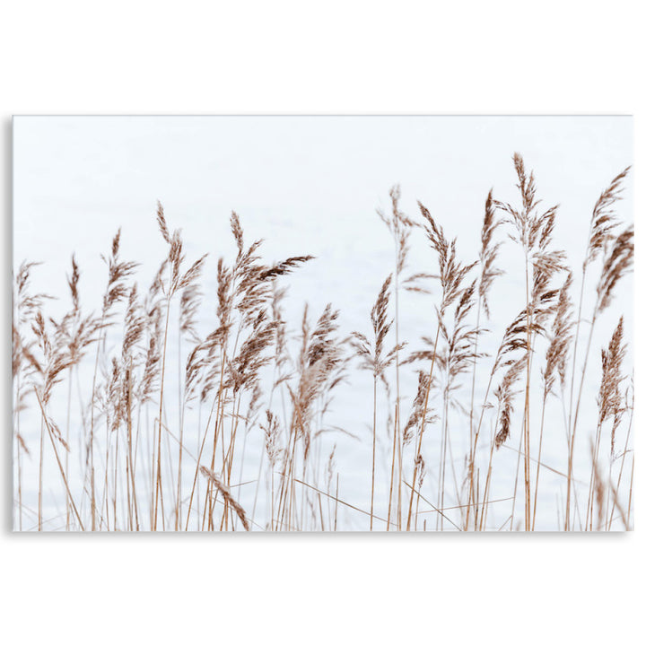 GRASS BREEZE - Canvas Print