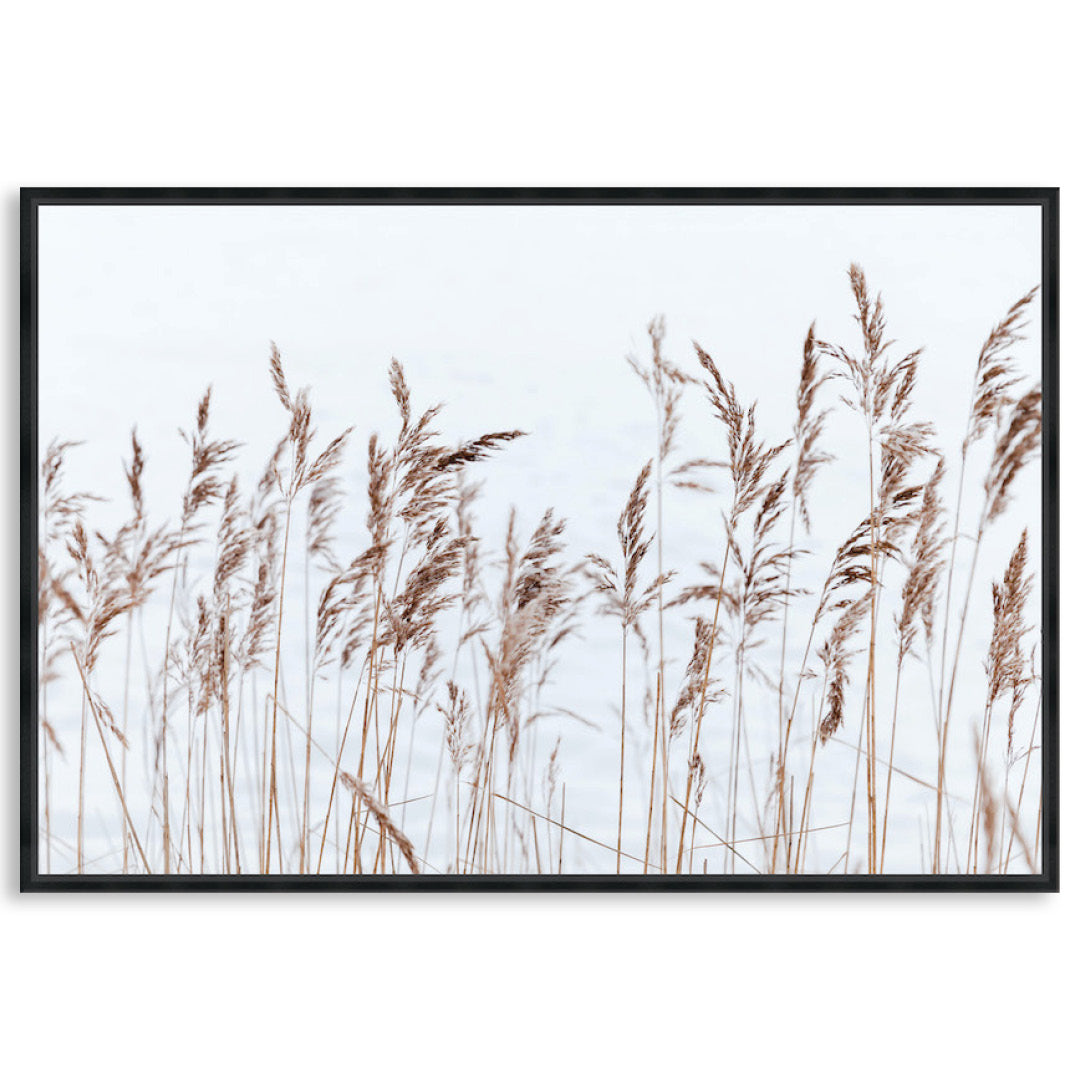 GRASS BREEZE - Framed Canvas