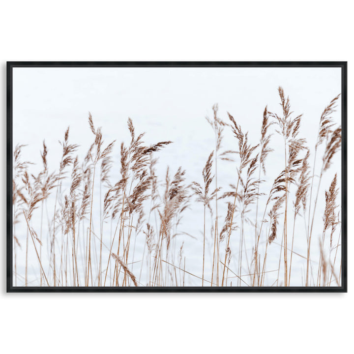 GRASS BREEZE - Framed Canvas