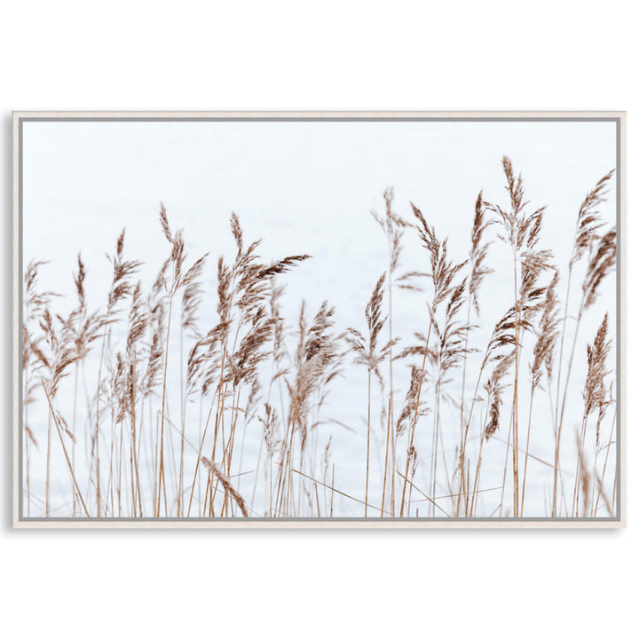 GRASS BREEZE - Framed Canvas
