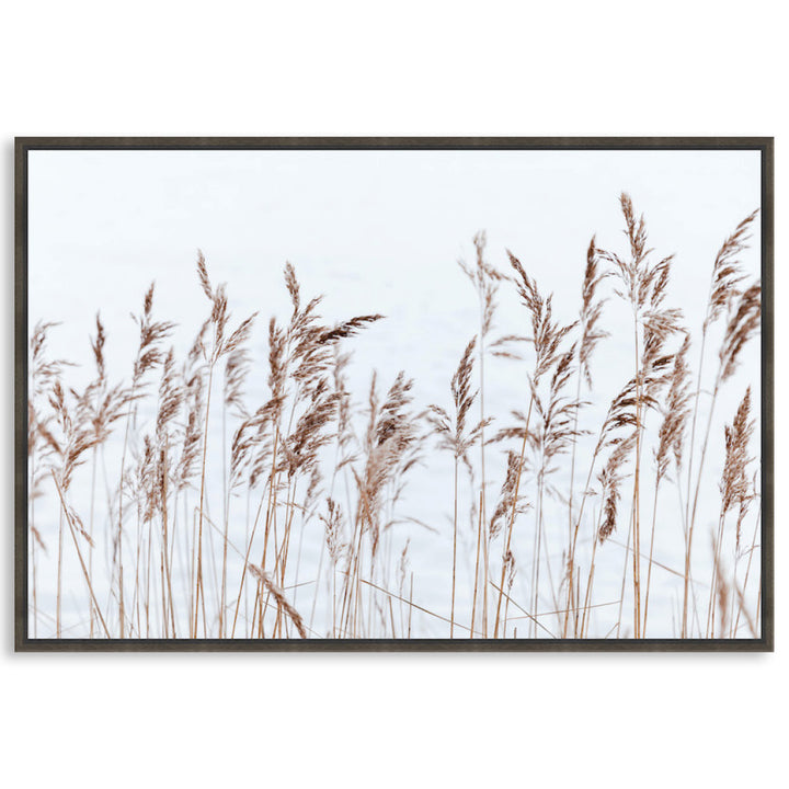 GRASS BREEZE - Framed Canvas