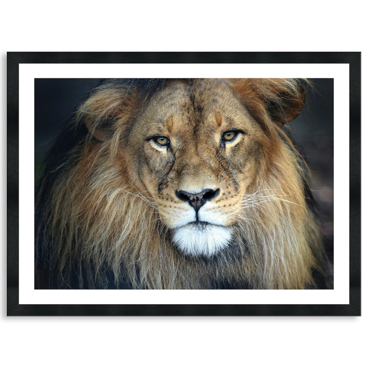 CECIL - Framed Print