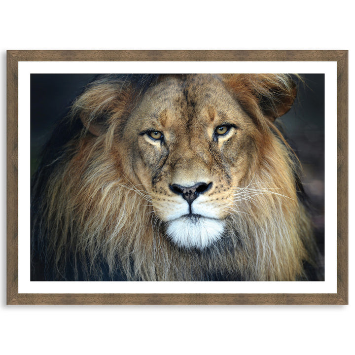 CECIL - Framed Print