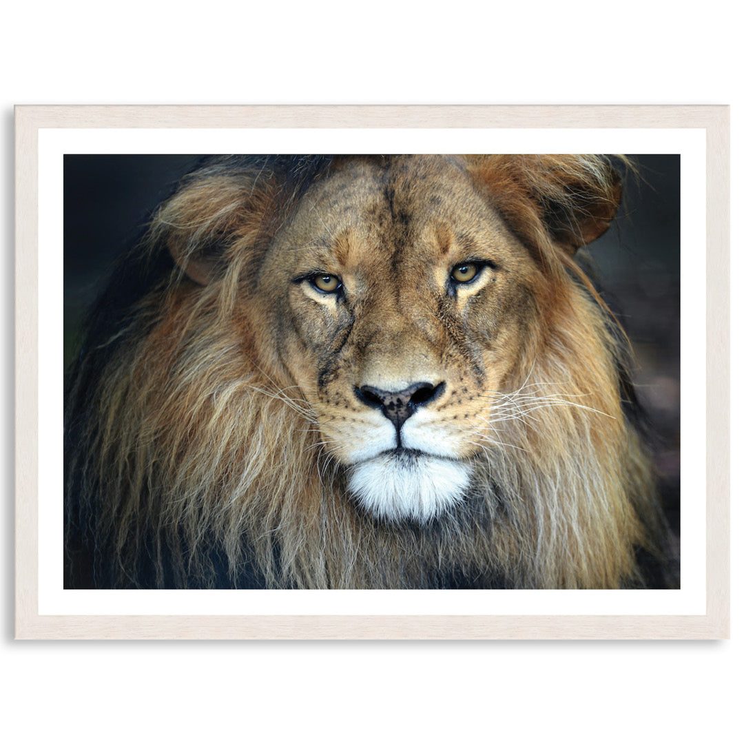 CECIL - Framed Print