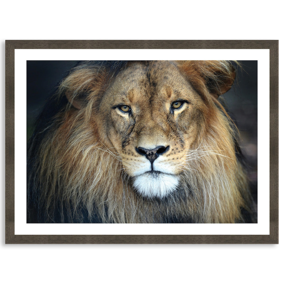 CECIL - Framed Print
