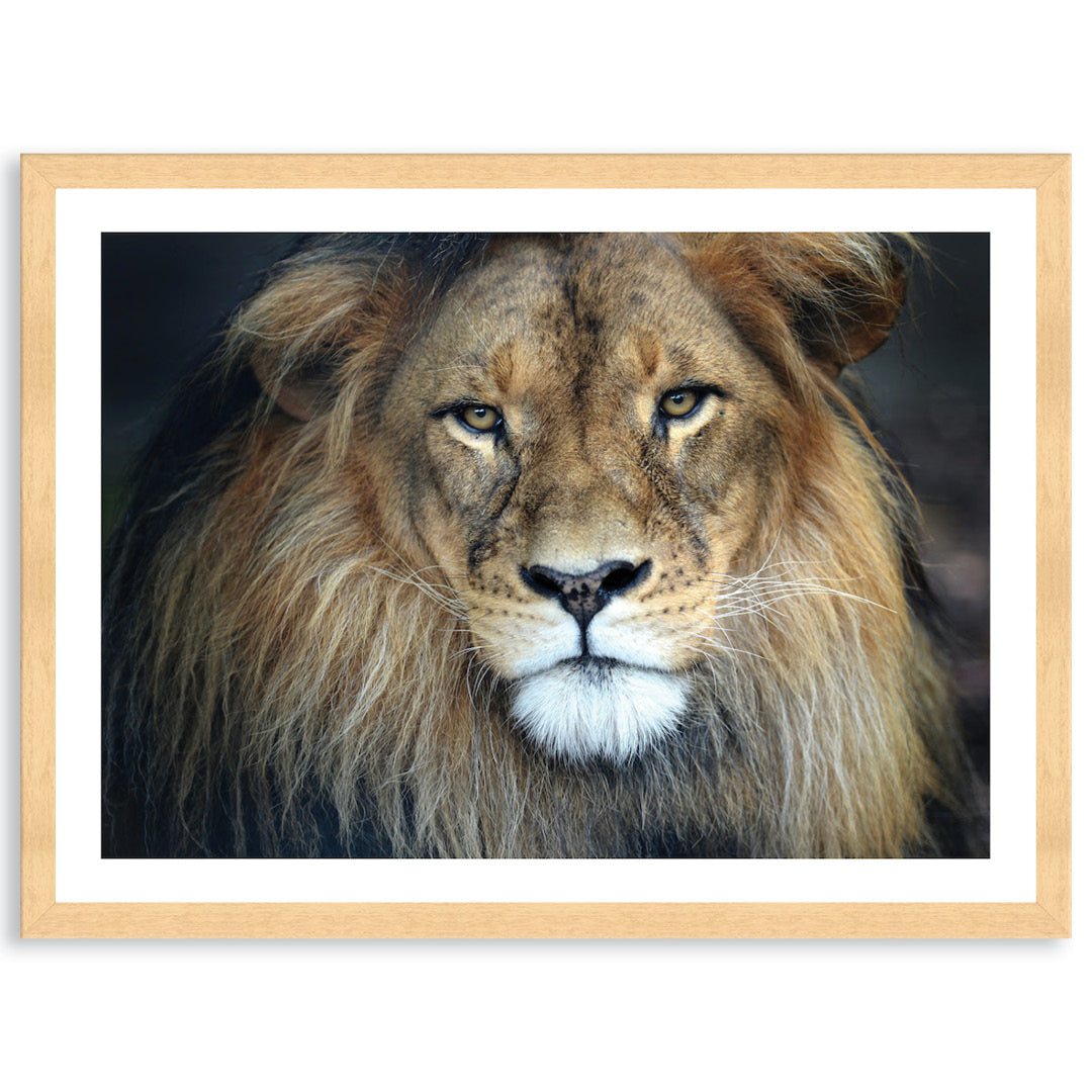 CECIL - Framed Print