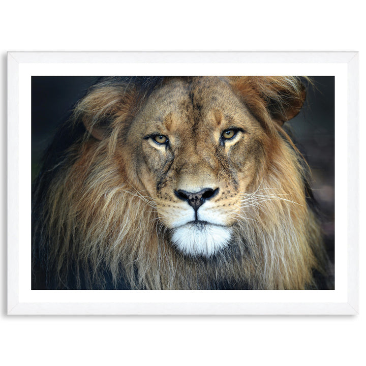 CECIL - Framed Print
