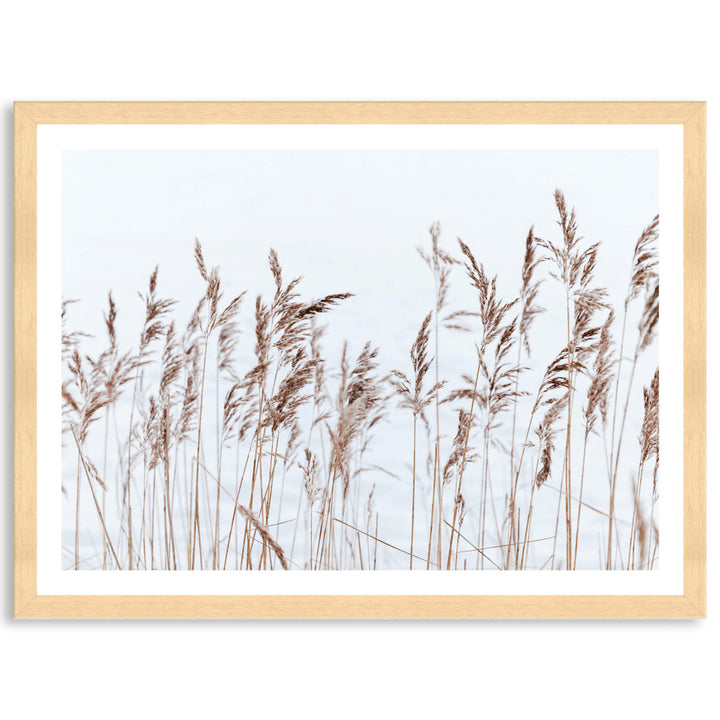GRASS BREEZE - Framed Print