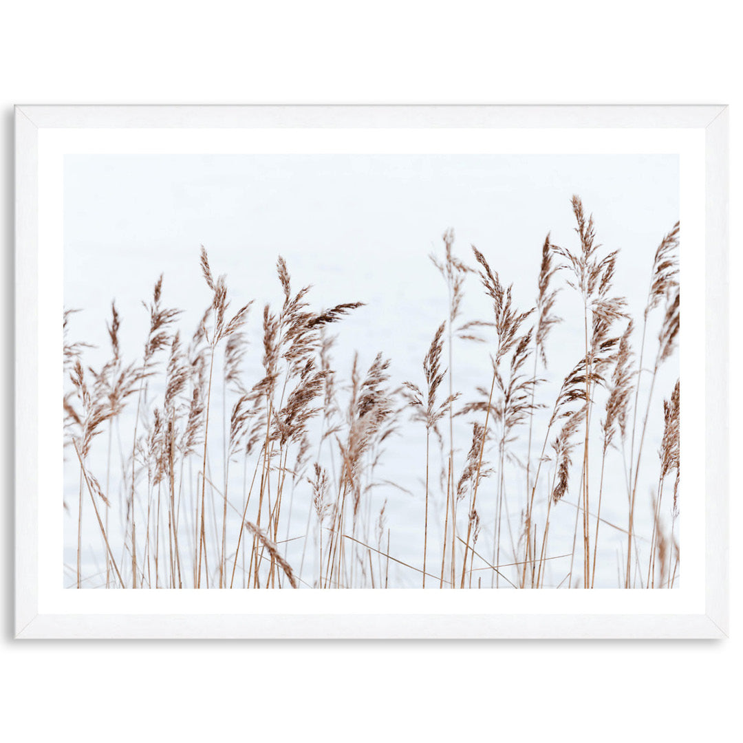 GRASS BREEZE - Framed Print