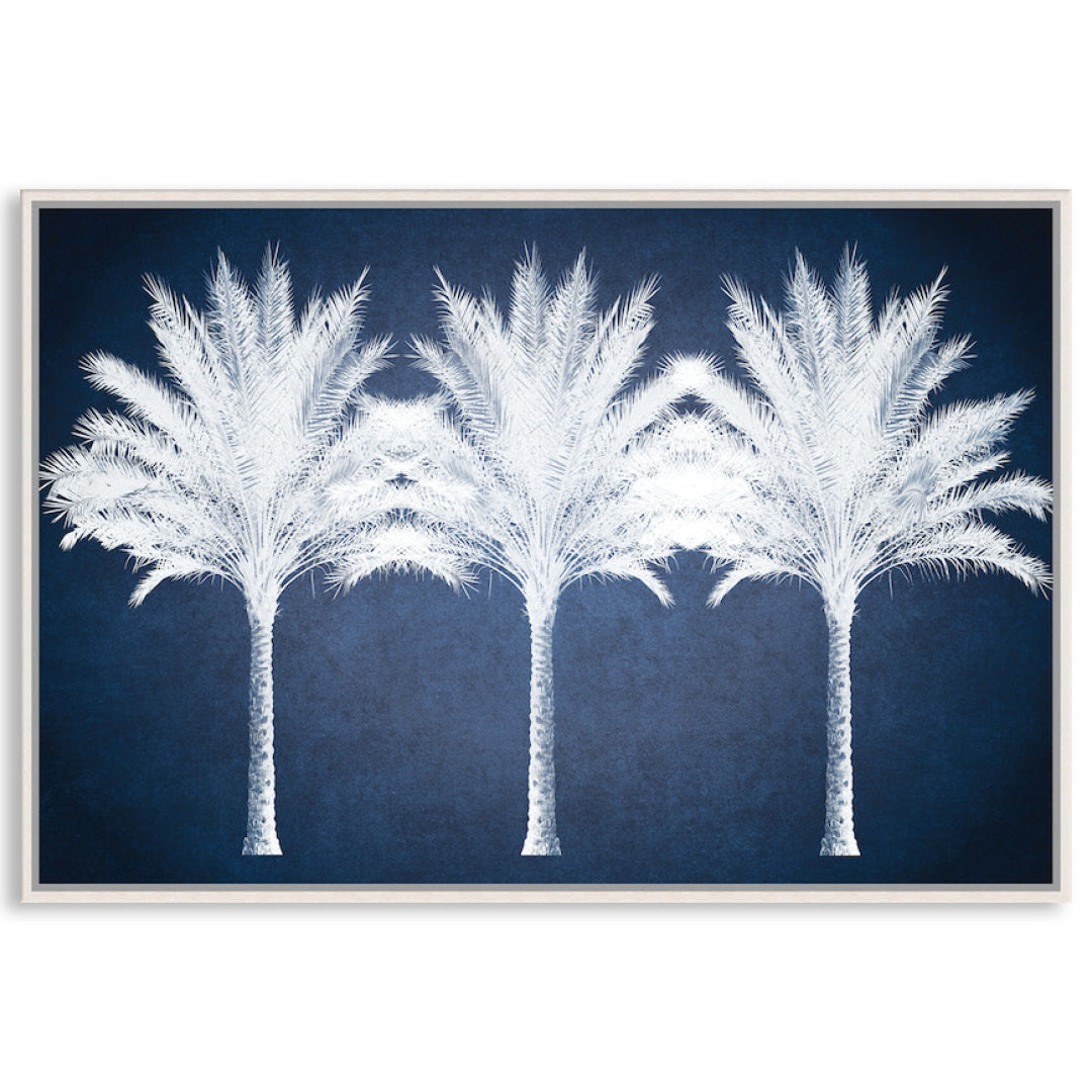 SUMMER PALM - Framed Canvas