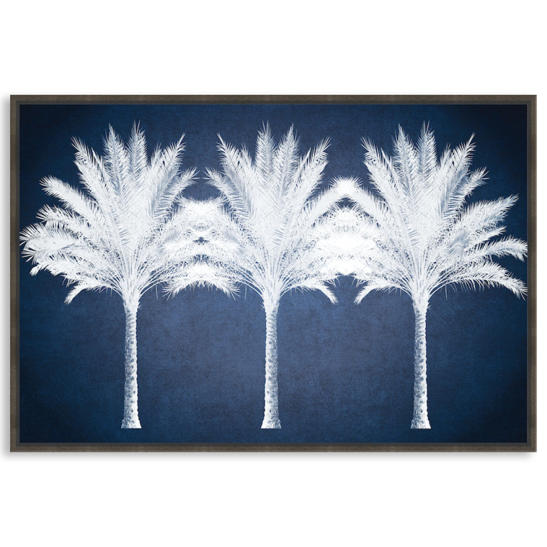 SUMMER PALM - Framed Canvas