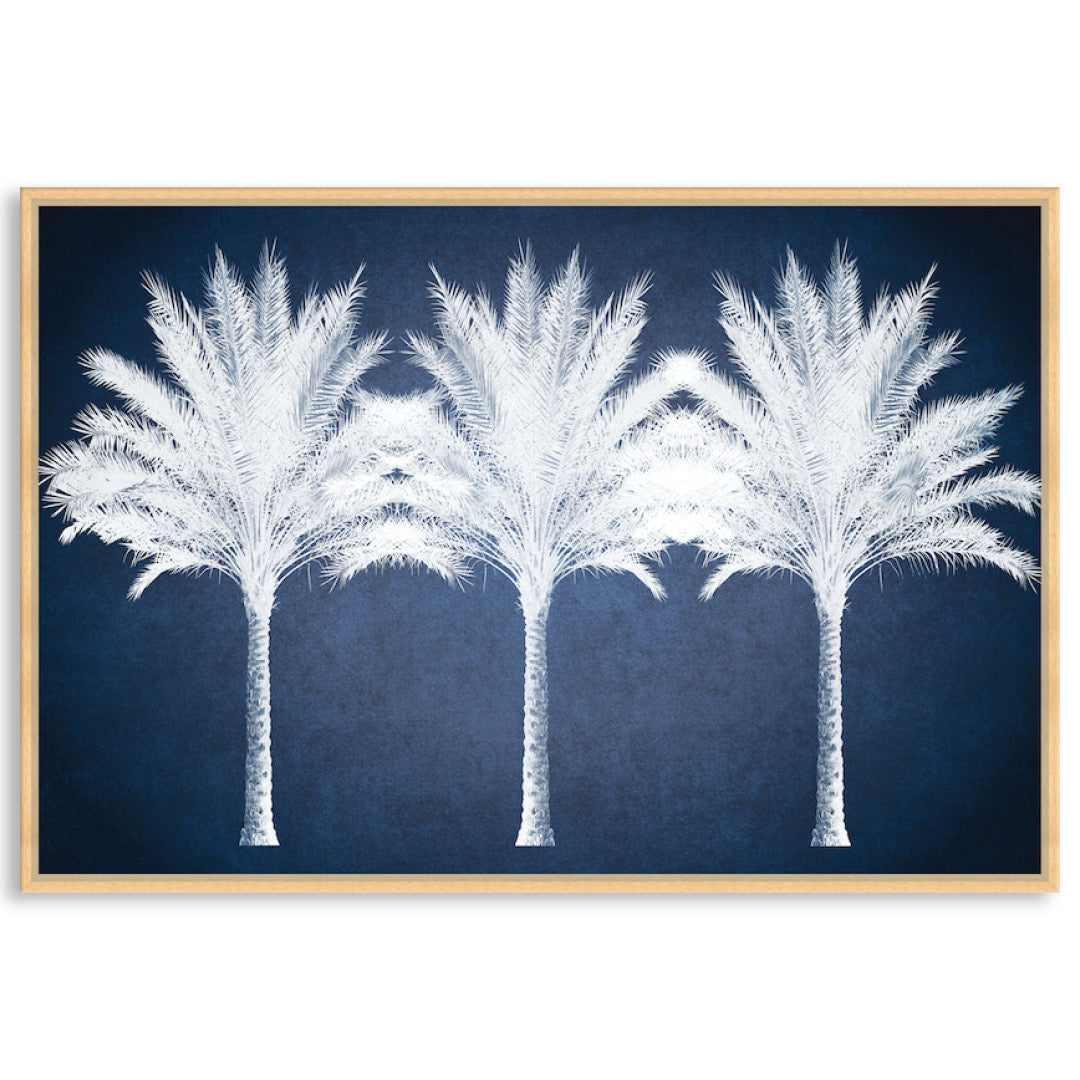 SUMMER PALM - Framed Canvas