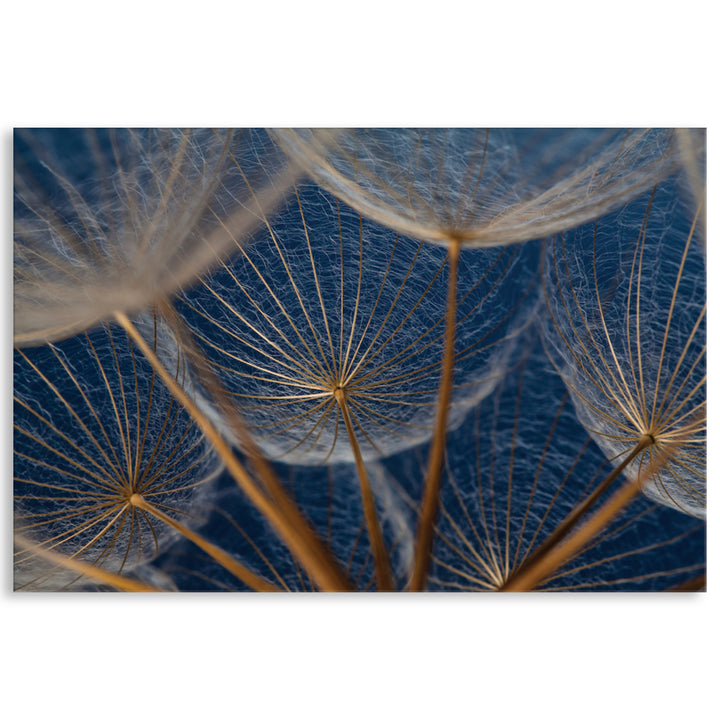 MACRO BOTANICAL I - Canvas Print