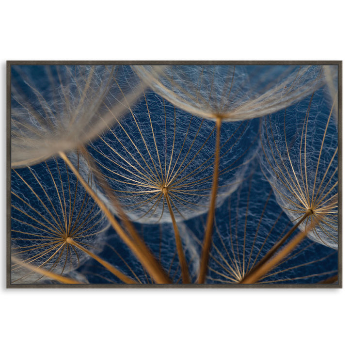 MACRO BOTANICAL I - Framed Canvas