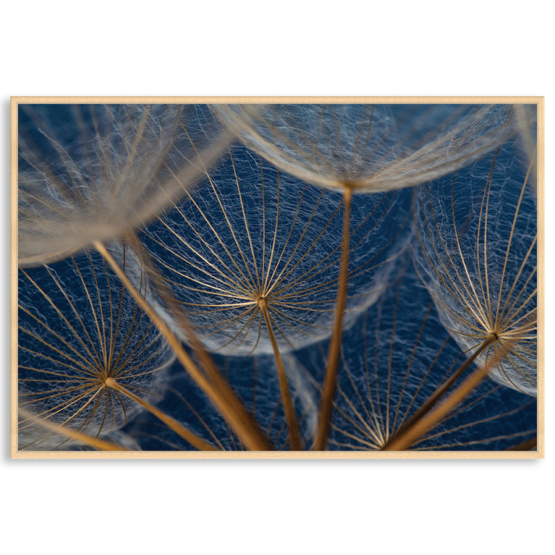 MACRO BOTANICAL I - Framed Canvas