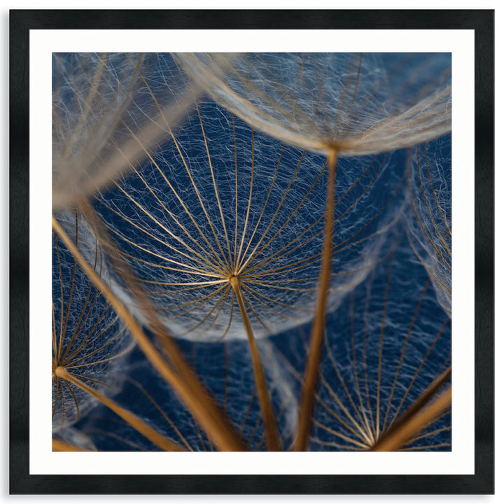 MACRO BOTANICAL II - Framed Print