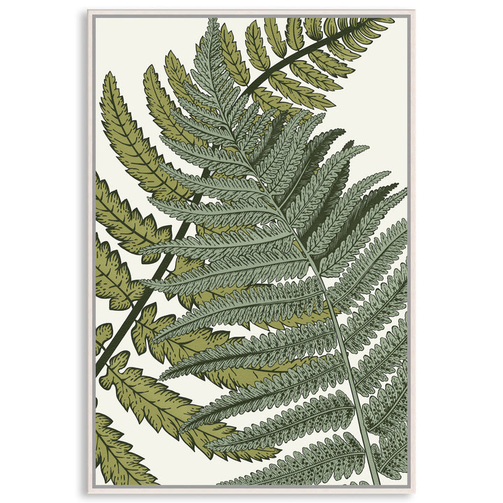 FERN STUDY I - Framed Canvas