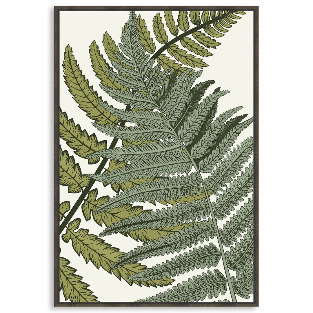 FERN STUDY I - Framed Canvas