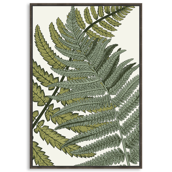 FERN STUDY I - Framed Canvas