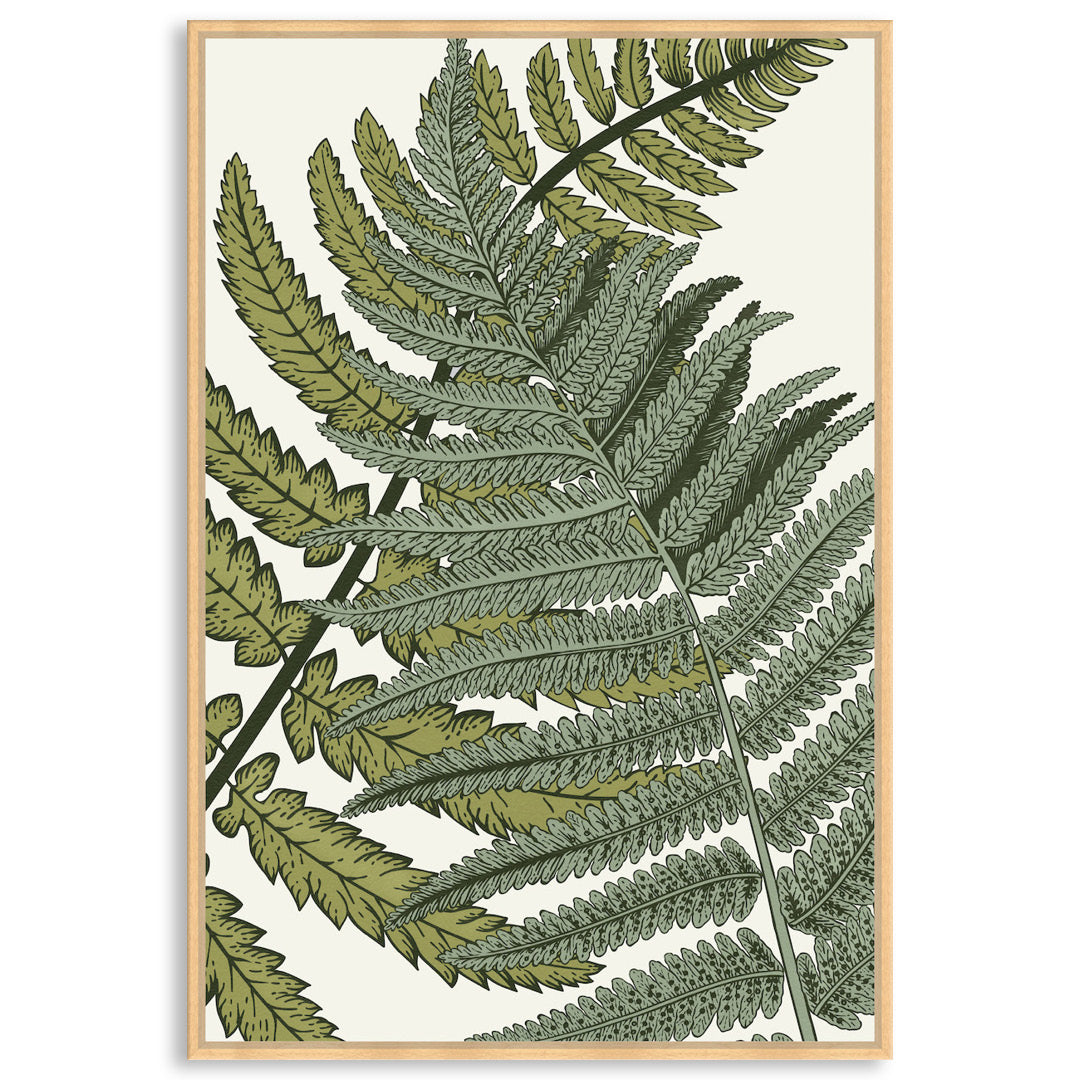 FERN STUDY I - Framed Canvas