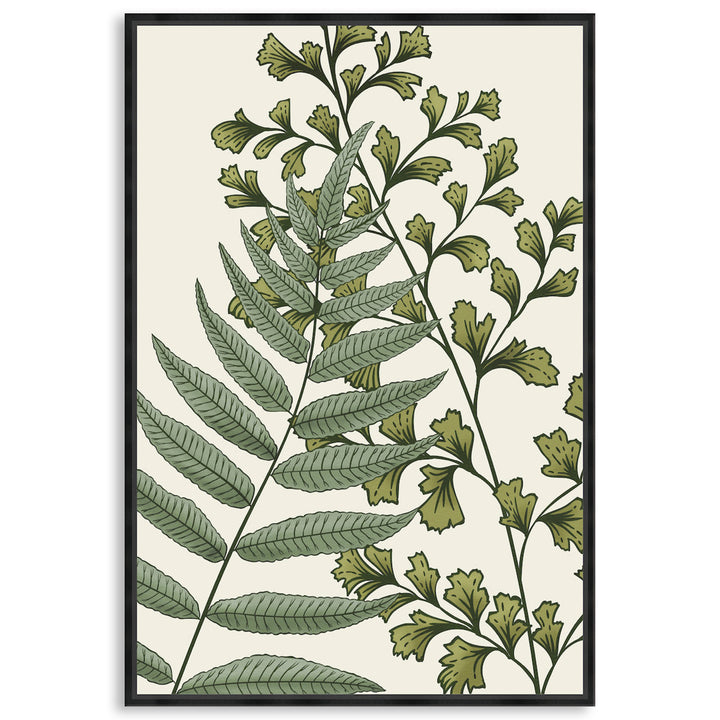 FERN STUDY II - Framed Canvas