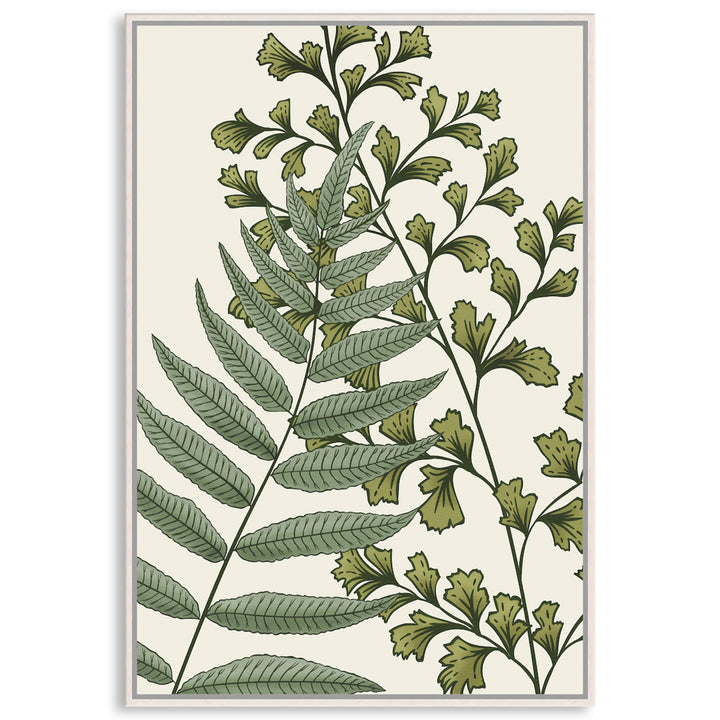 FERN STUDY II - Framed Canvas