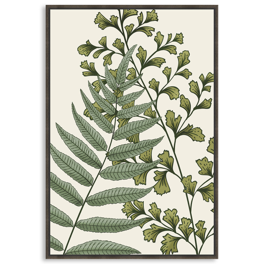 FERN STUDY II - Framed Canvas