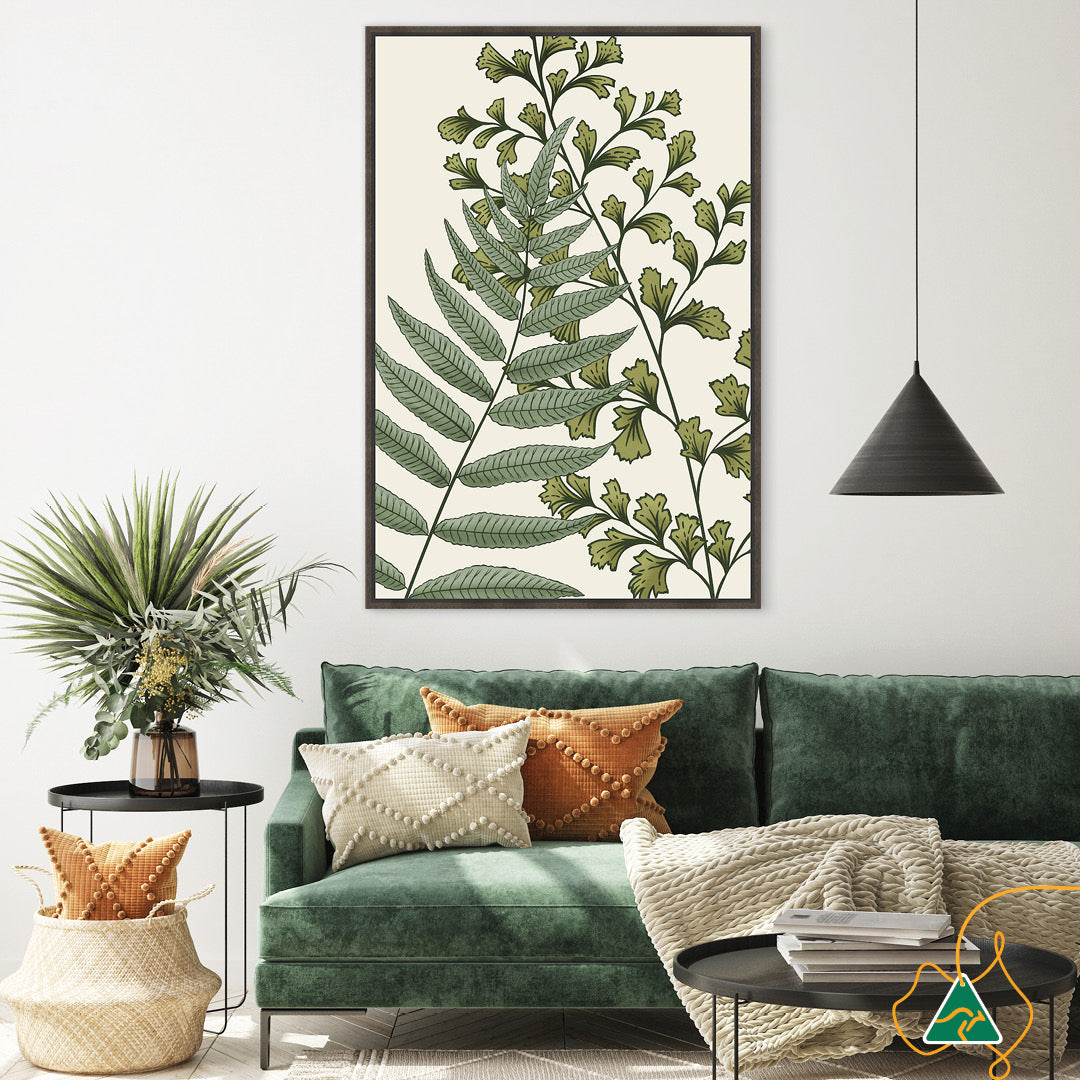 FERN STUDY II - Framed Canvas