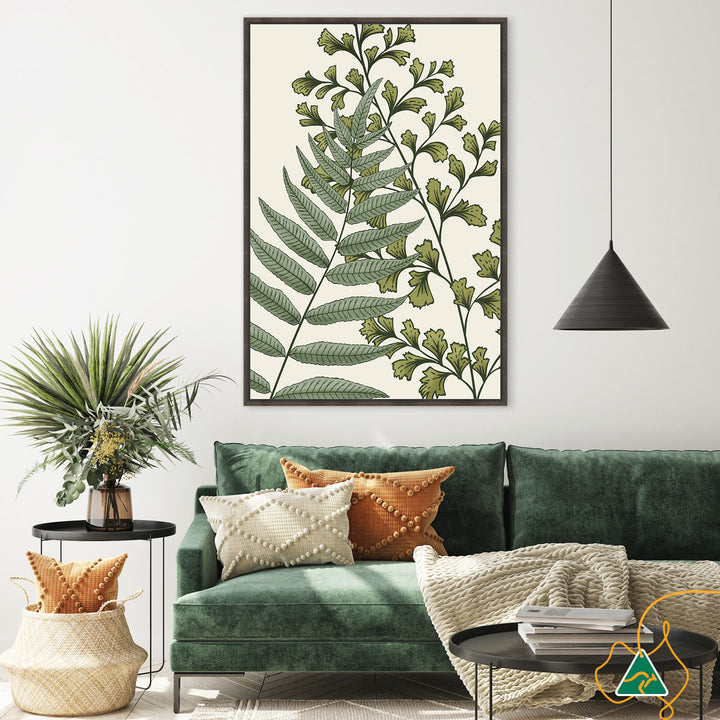 FERN STUDY II - Framed Canvas