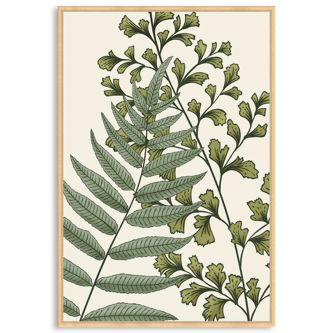 FERN STUDY II - Framed Canvas