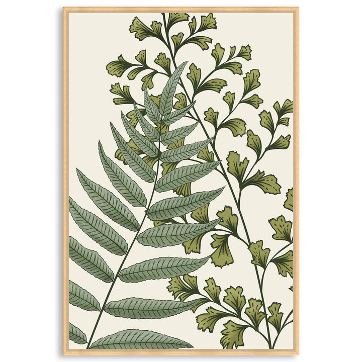 FERN STUDY II - Framed Canvas