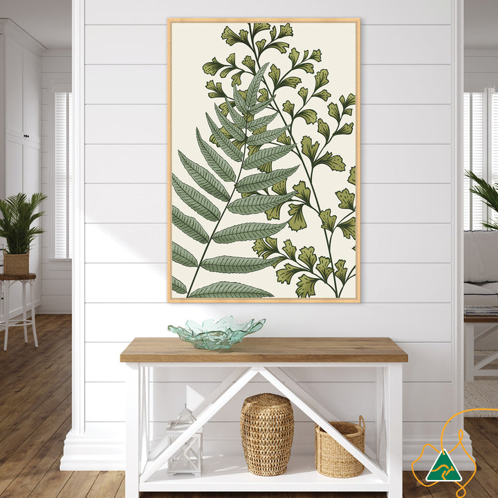 FERN STUDY II - Framed Canvas