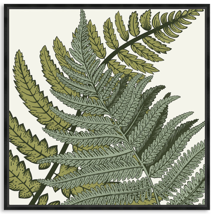 FERN STUDY III - Framed Canvas
