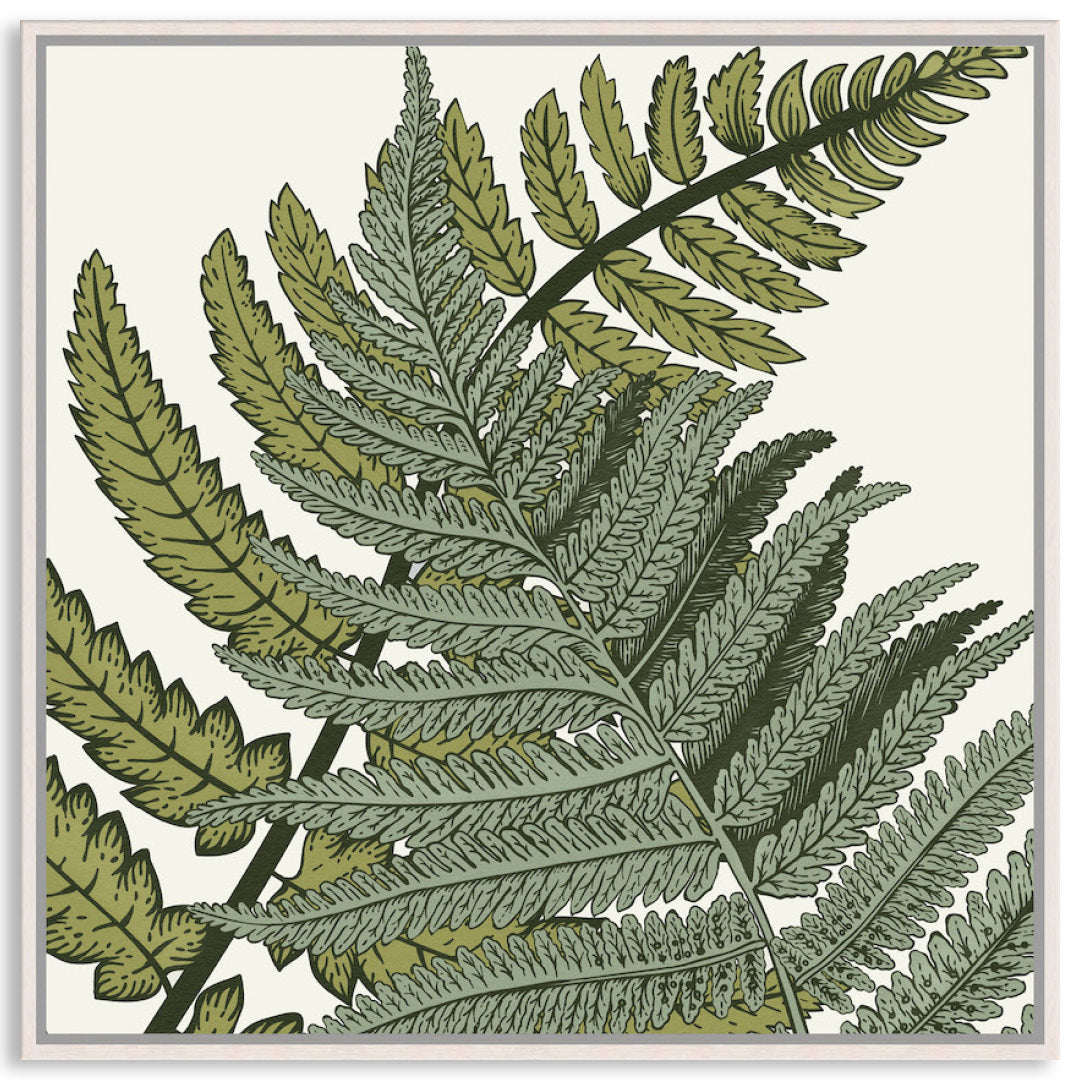 FERN STUDY III - Framed Canvas