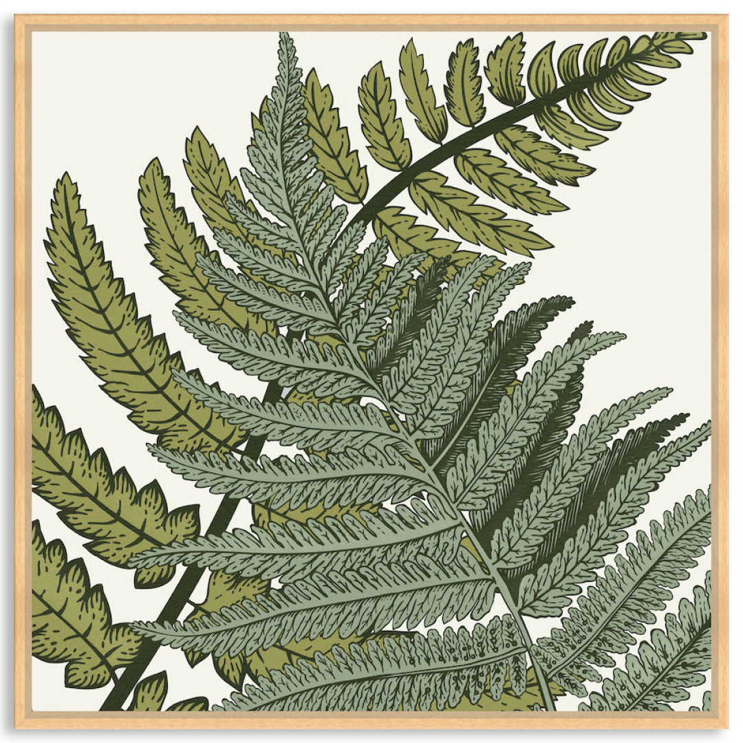 FERN STUDY III - Framed Canvas