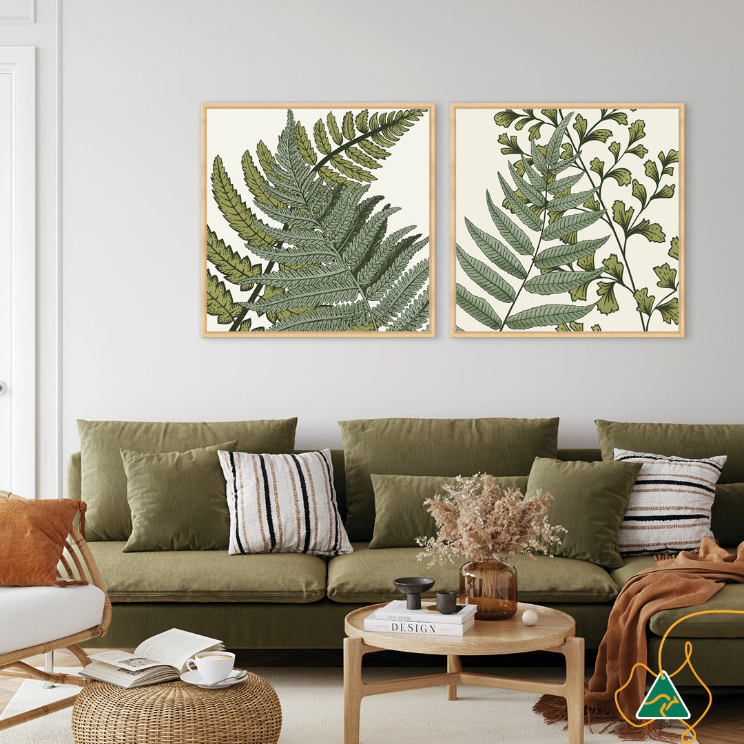 FERN STUDY III - Framed Canvas