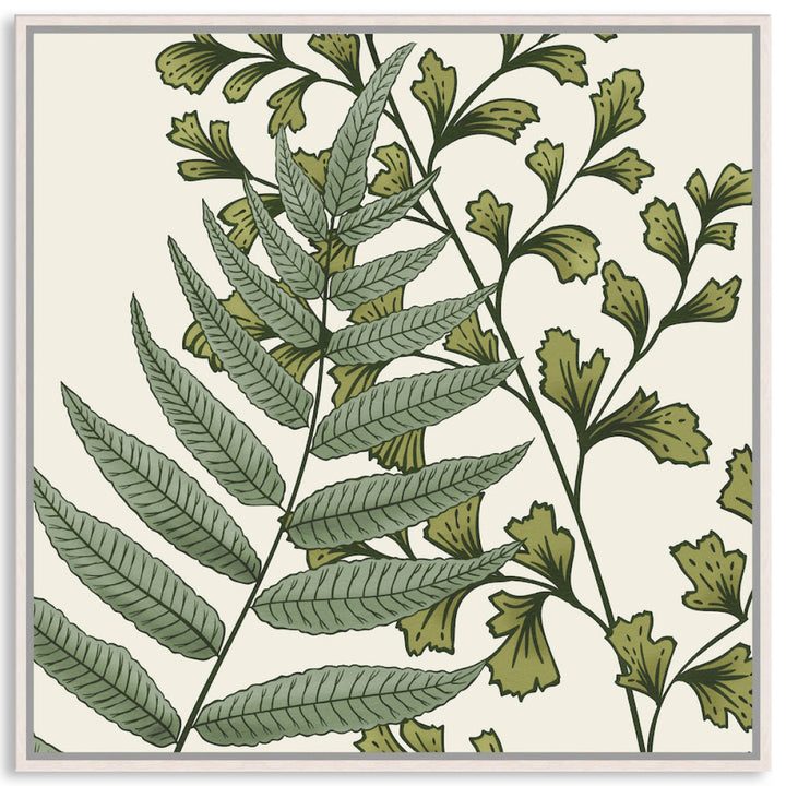 FERN STUDY IV - Framed Canvas