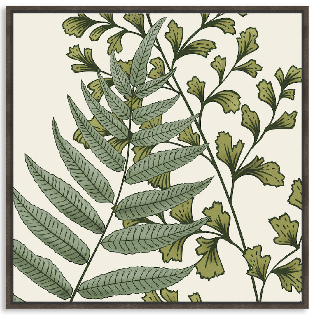FERN STUDY IV - Framed Canvas