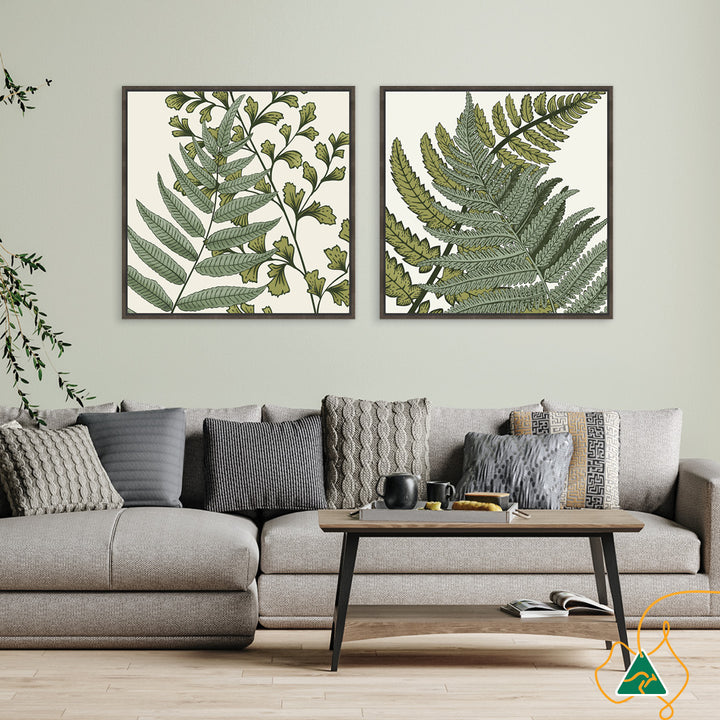 FERN STUDY IV - Framed Canvas