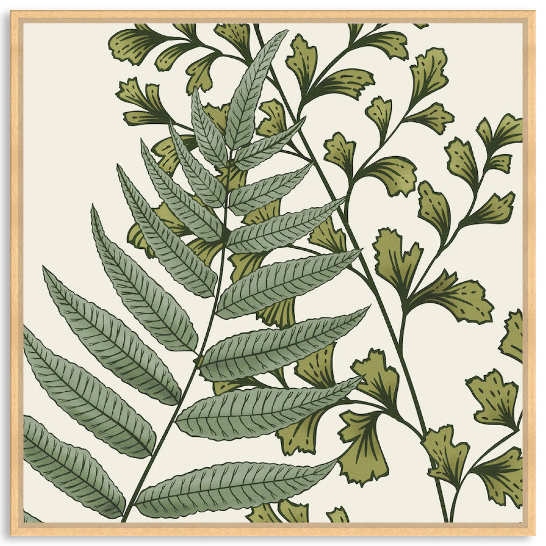 FERN STUDY IV - Framed Canvas