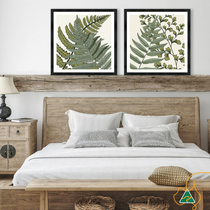 FERN STUDY III - Framed Print