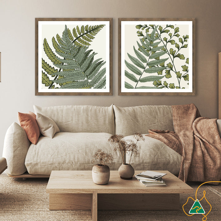 FERN STUDY III - Framed Print