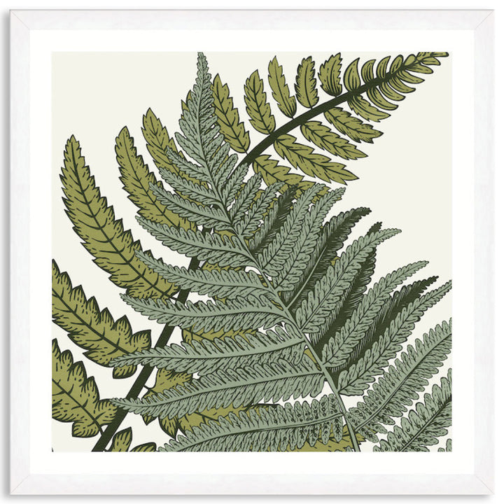 FERN STUDY III - Framed Print