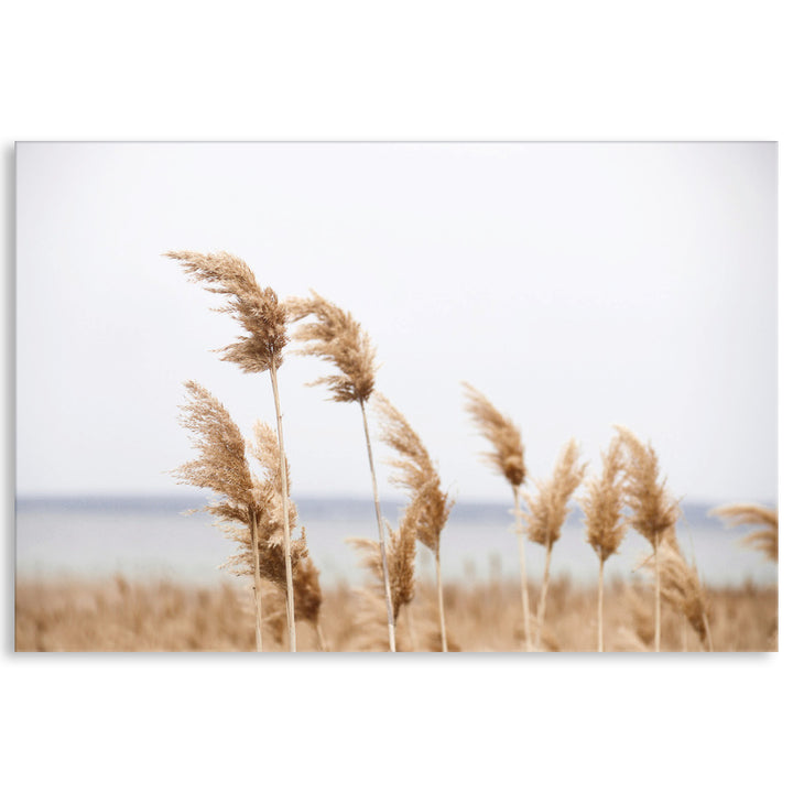 LAKE REEDS I - Canvas Print
