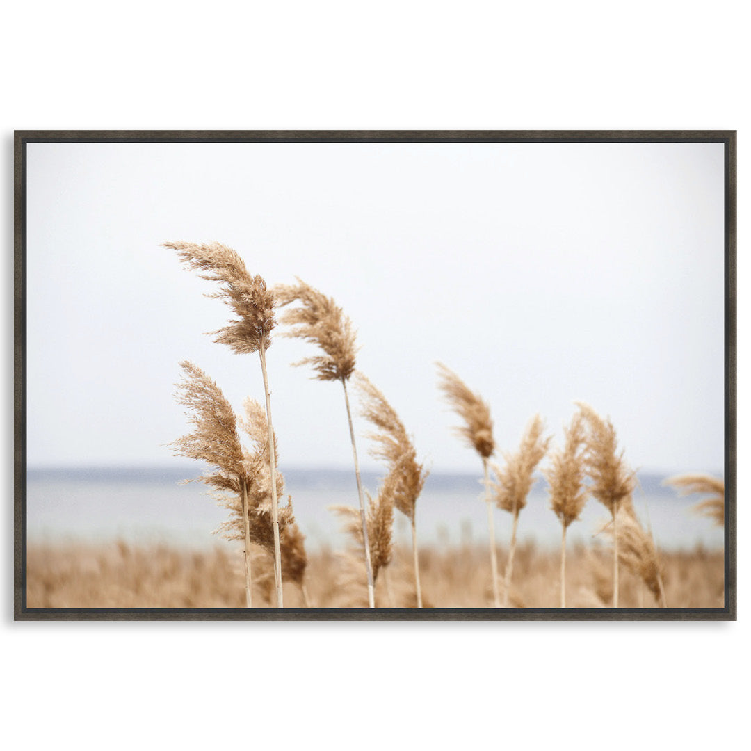 LAKE REEDS I - Framed Canvas