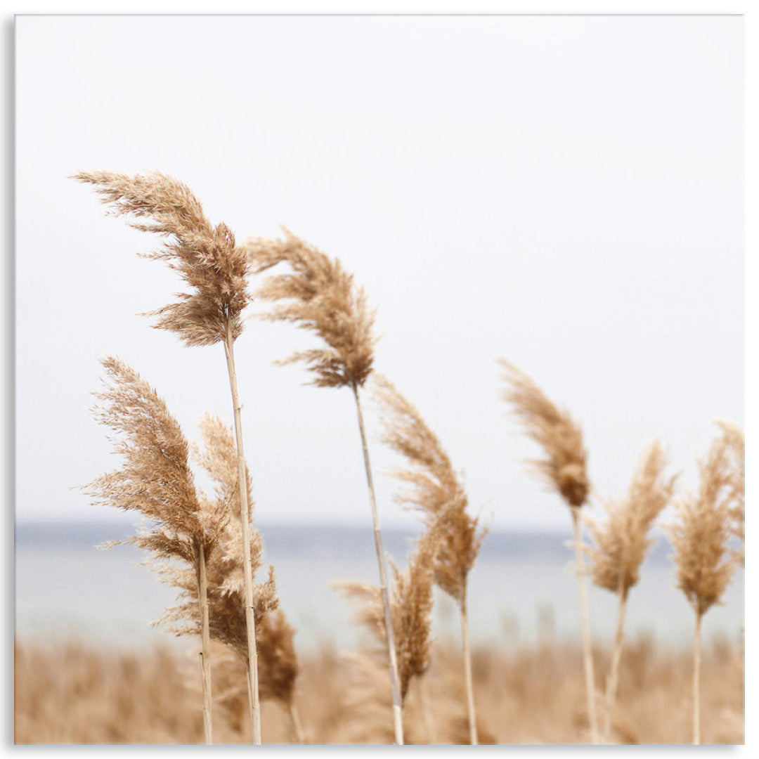 LAKE REEDS II - Canvas Print