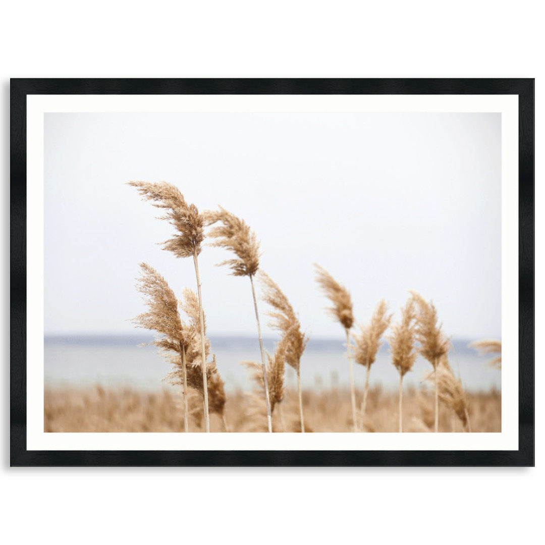 LAKE REEDS I - Framed Print